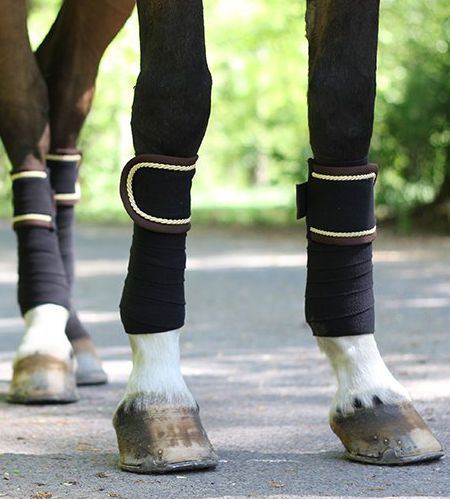 Bandagen, Gamaschen und Hufglocken