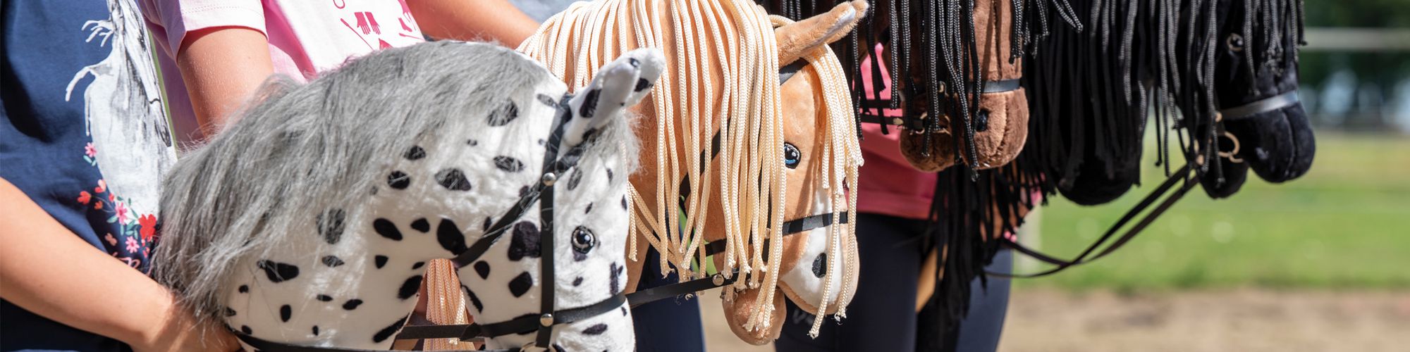 Hobby Horses