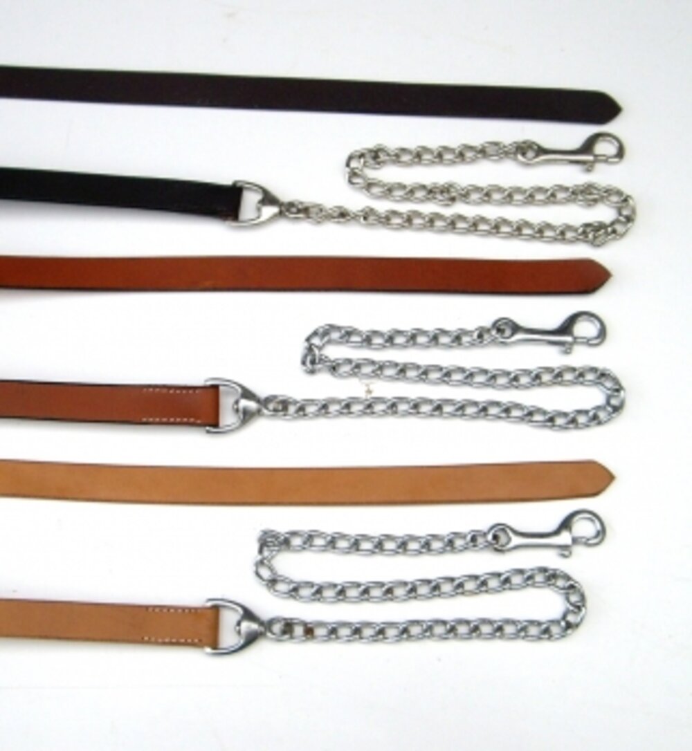 Führleine mit Kette für Showhalfter