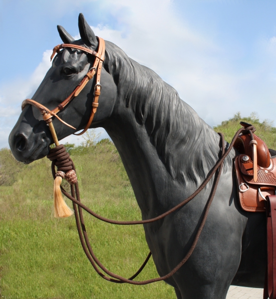 Hackamore Set - Bosal - Mecate und Kopfstück