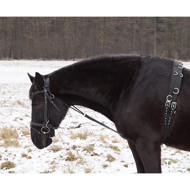 Chambon, schwarz, Cob / Full