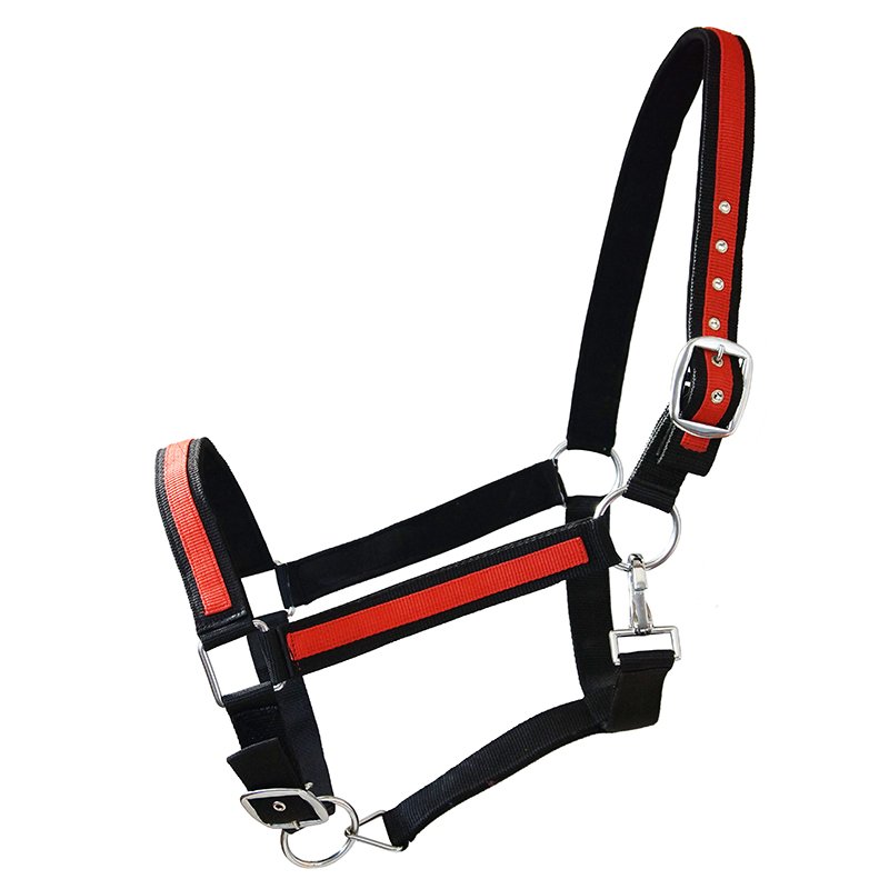 Kaltbluthalfter Big Boy schwarz-rot Kaltbluthalfter Big Boy schwarz-rot