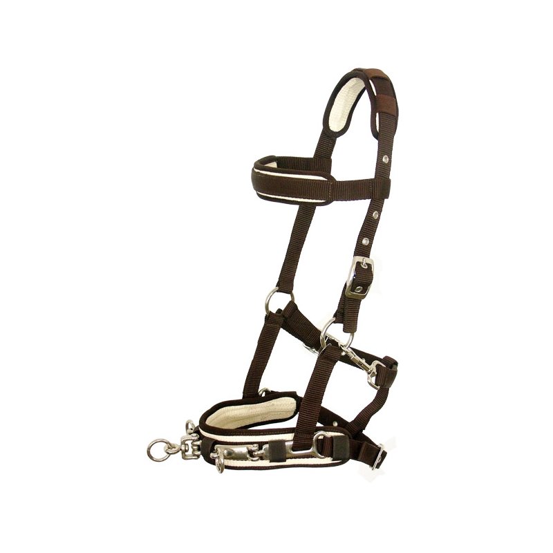 Kappzaum Favour, Pony, braun-schwarz