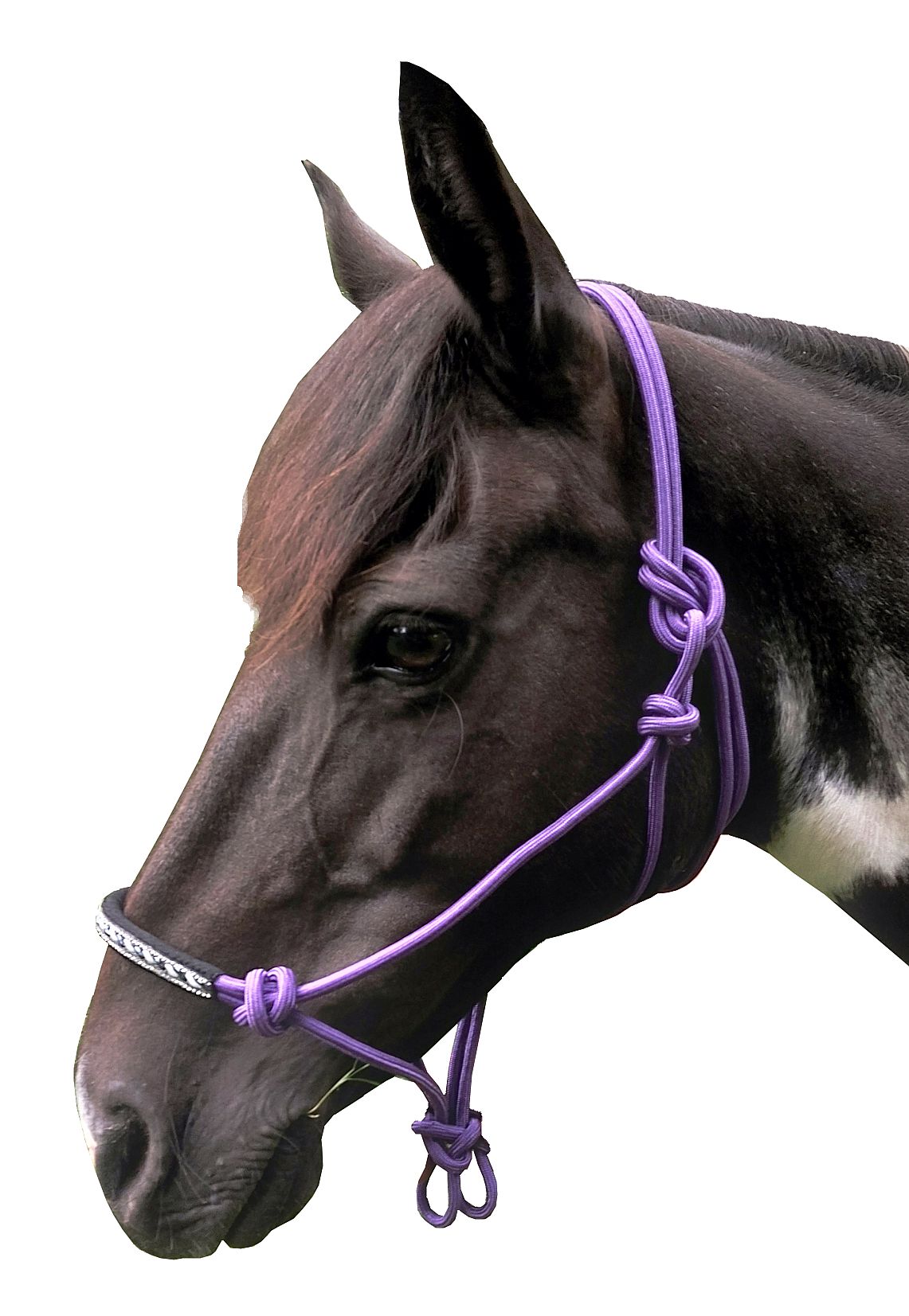 schickes Knotenhalfter mit Glitzer und Perlen, lila, Pony schickes Knotenhalfter mit Glitzer und Perlen, lila, Pony