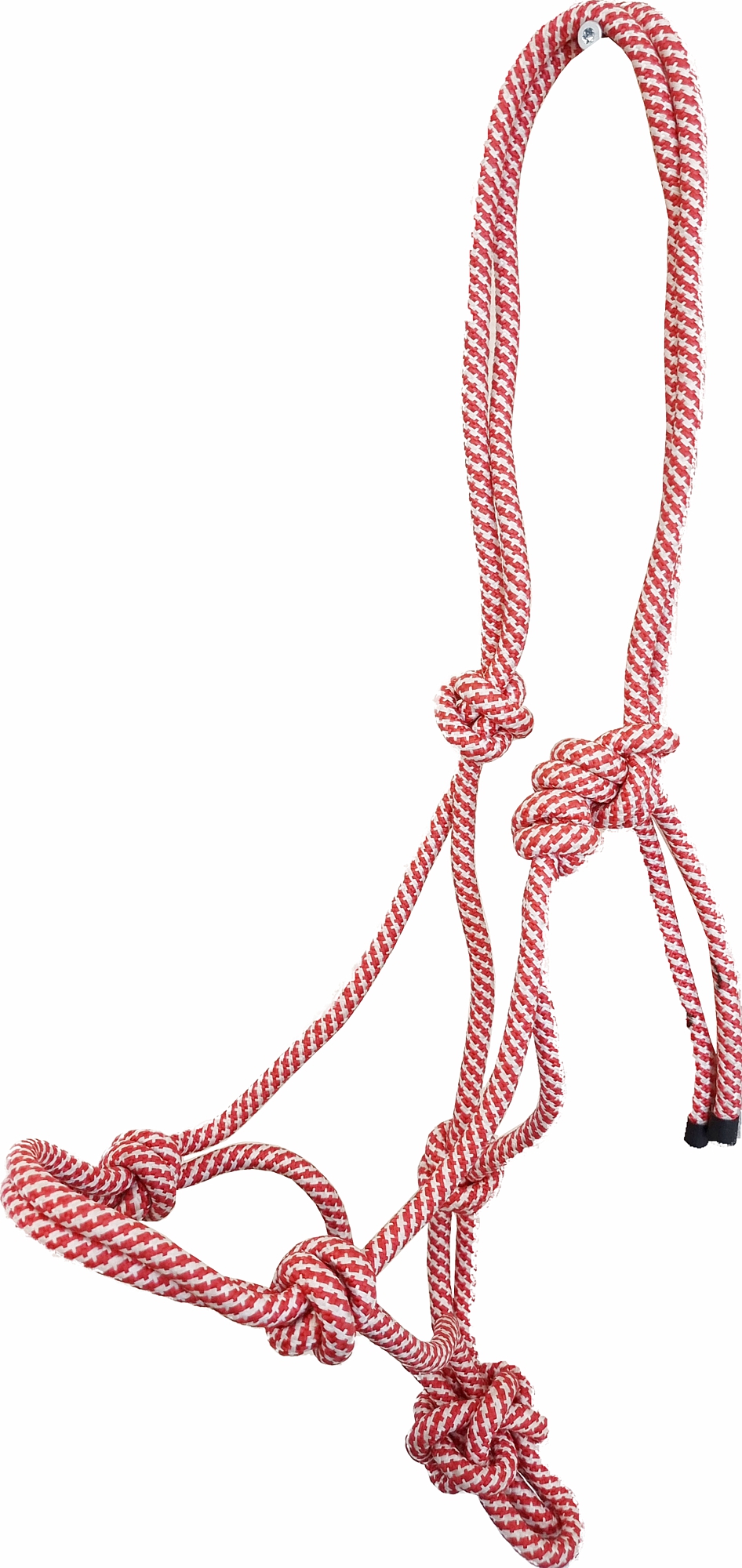 Knotenhalfter, rot/weiss Knotenhalfter, rot/weiss