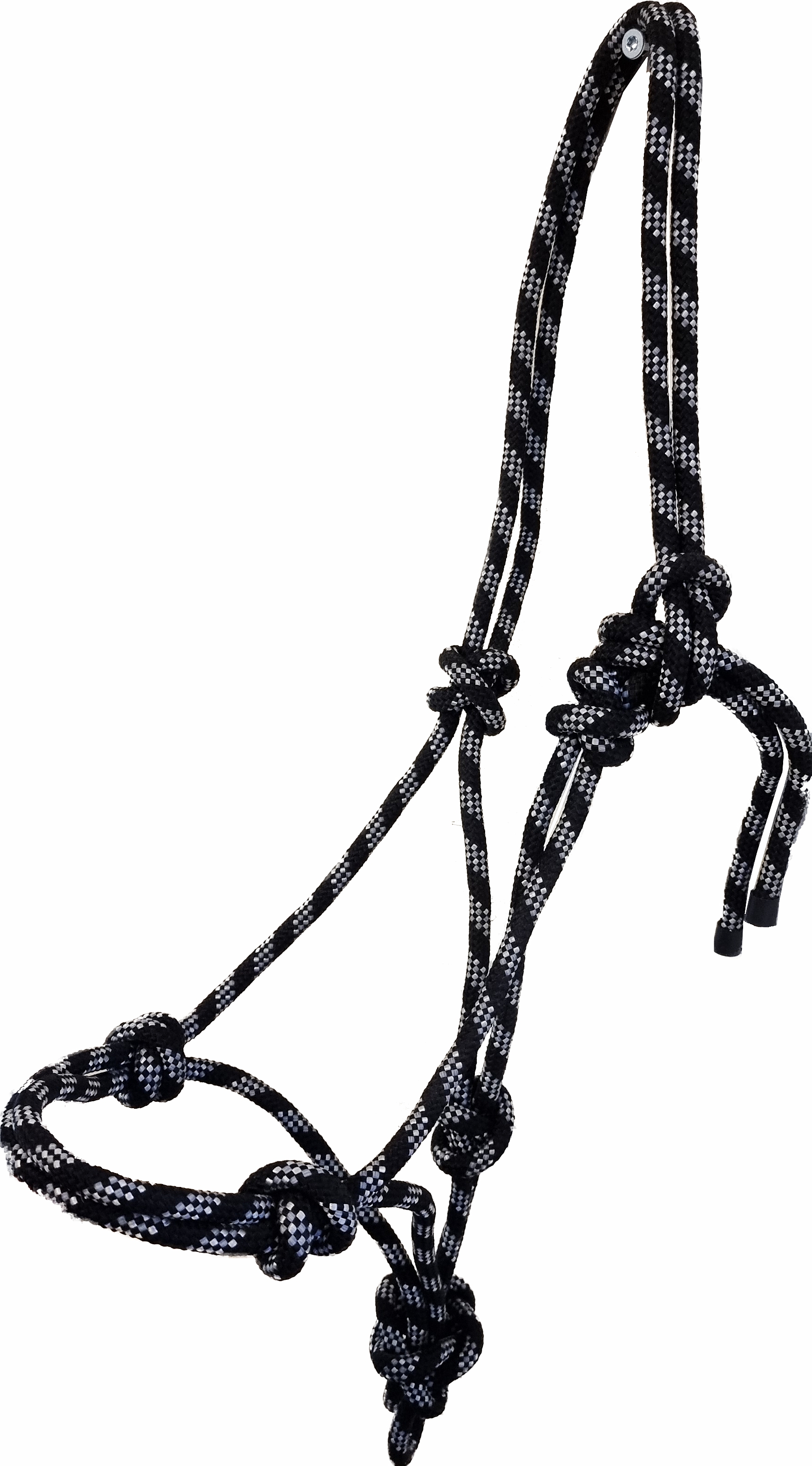 Knotenhalfter, schwarz/weiss/silber Knotenhalfter, schwarz/weiss/silber