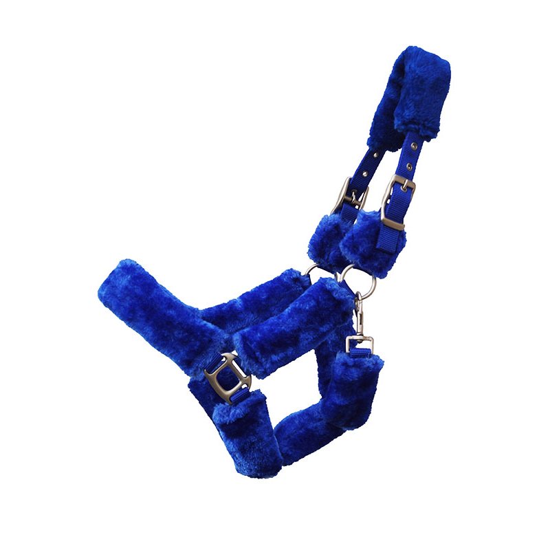 Kunststoffhalfter Sensible Blue Edition royalblau Kunststoffhalfter Sensible Blue Edition royalblau