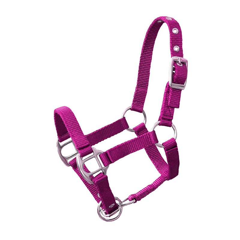 Miniline, Nylonhalfter Petit Gr. 3 - magenta Miniline, Nylonhalfter Petit Gr. 3 - magenta