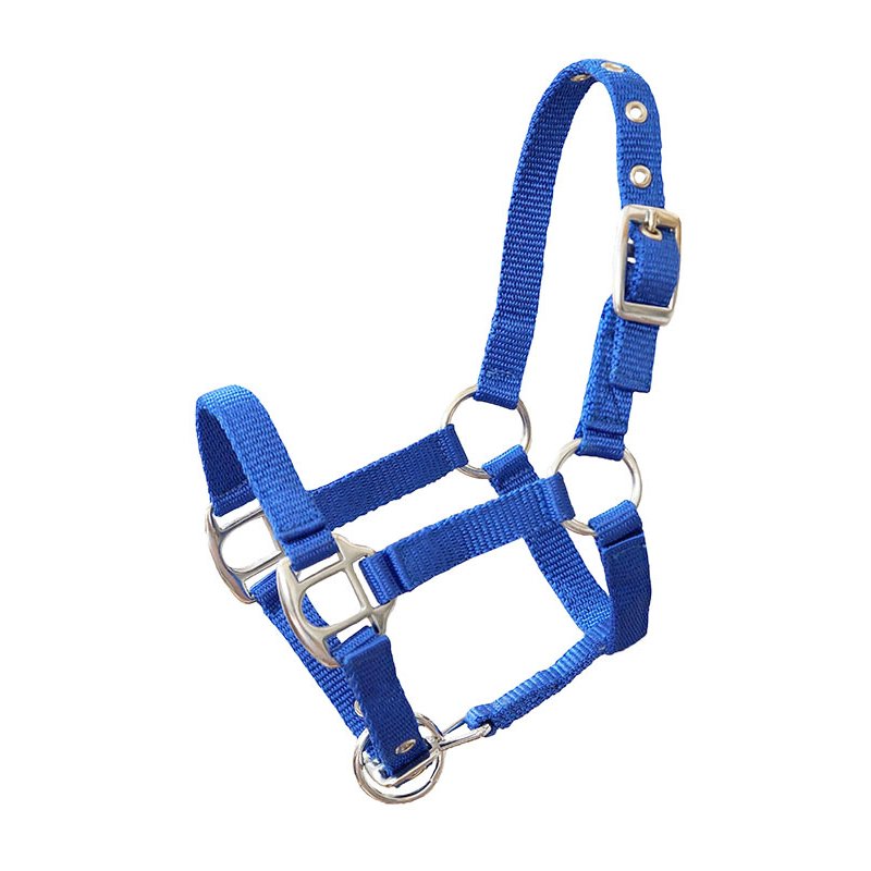 Miniline, Nylonhalfter Petit Gr. 1 - royalblau Miniline, Nylonhalfter Petit Gr. 1 - royalblau