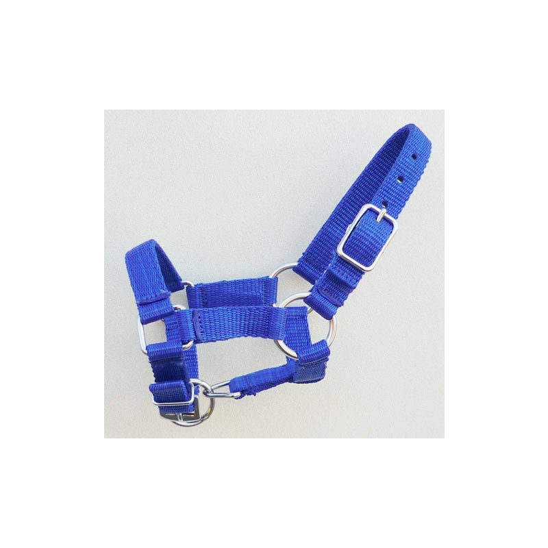 Miniline, Nylonhalfter Welcome blau Miniline, Nylonhalfter Welcome blau