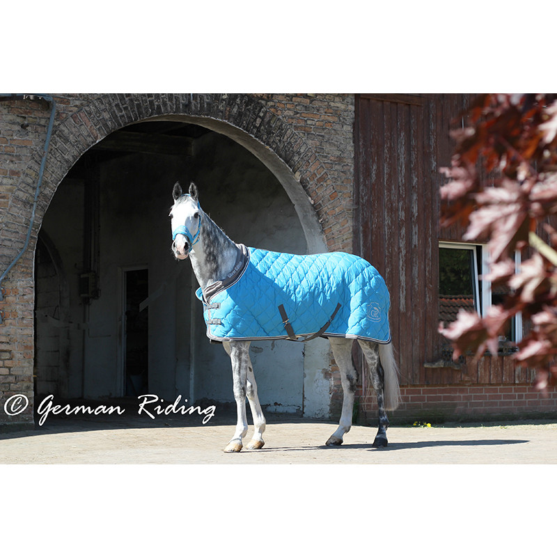Stalldecke Exclusive Collection Silver Edition türkis-grau