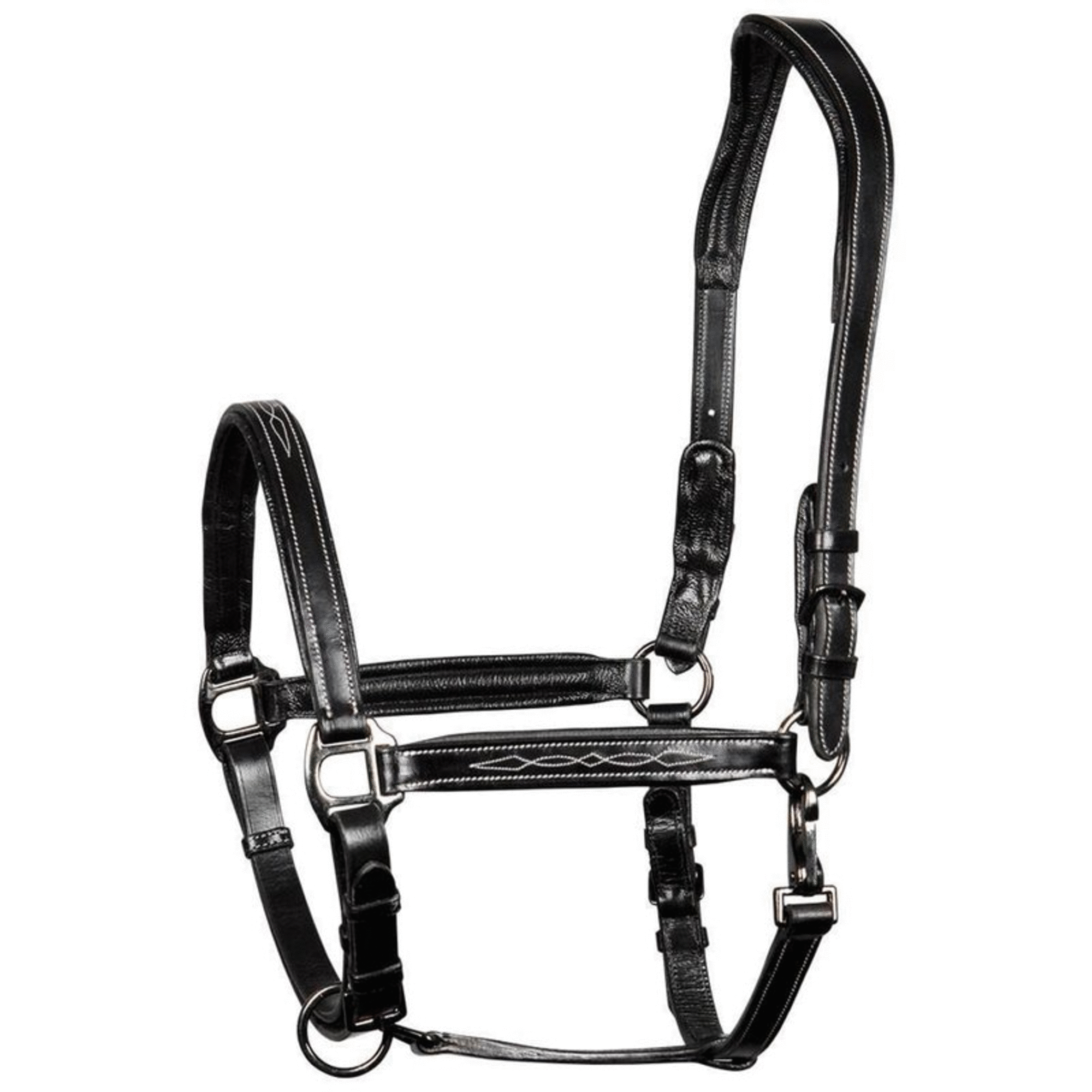 anatomisches Lederhalfter Supreme