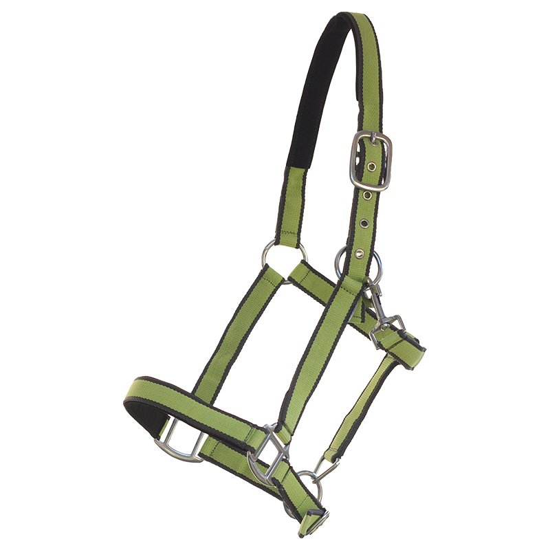 Kunststoffhalfter Paddock-bicolour - Cob, grau - apfelgrün